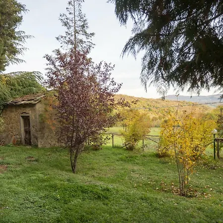 Le Roselle *